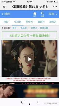 廷禧攻略21在线视频,宫廷风云再起，神秘人物浮出水面