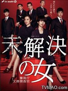 搜查官在线视频观看,揭秘案件背后的真相与智慧