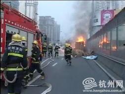 橋口 2017在线视频