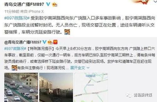 橋口 2017在线视频