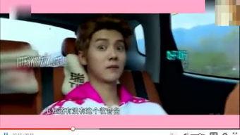 东北热巴在线视频