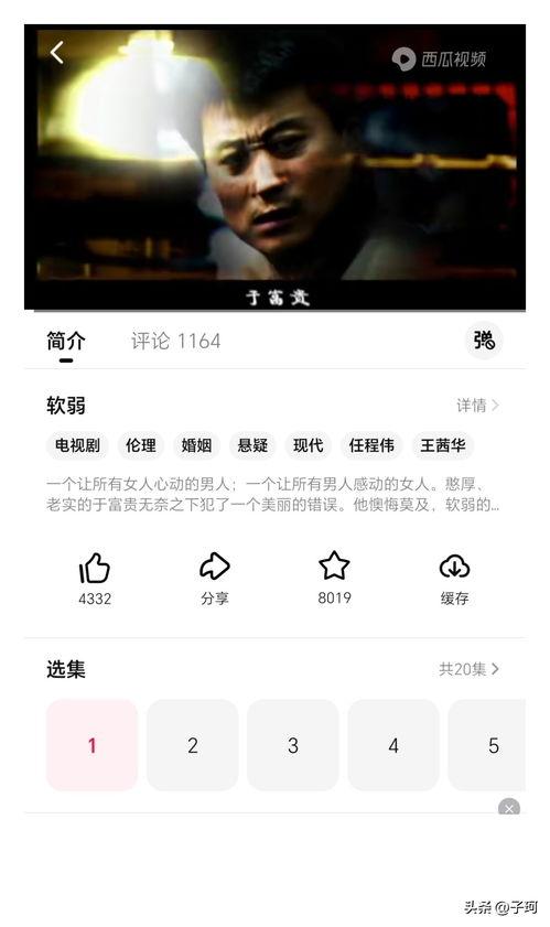 迷将在线视频,揭秘神秘游戏世界，体验刺激冒险之旅