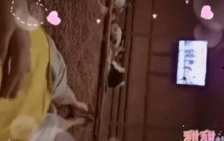 在线视频高级会所混血,揭秘在线视频高级会所的混血生成奥秘