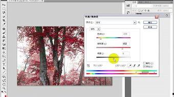 苏怡静在线视频