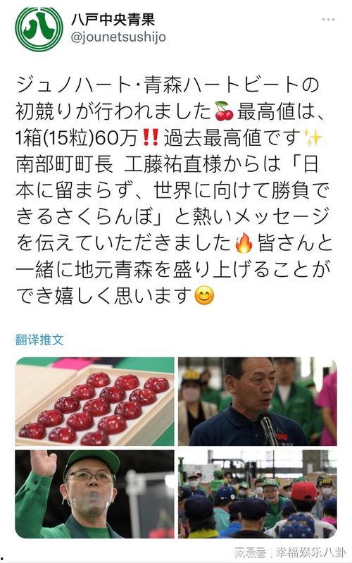 日本樱桃在线视频播放,浪漫樱花季的甜蜜邂逅