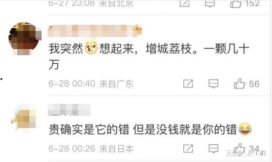 日本樱桃在线视频播放,浪漫樱花季的甜蜜邂逅